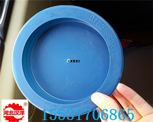 DN160-SDR11.jpg DN160-SDR11.jpg