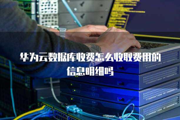 大數據服務收費明細解析 數據處理與存儲支持